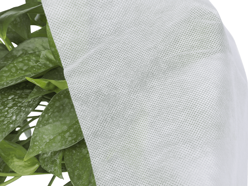 Agricultural Use Nonwoven Crop Covers, Harvest Cloth, Insulation Curtain, Plant cover, etc