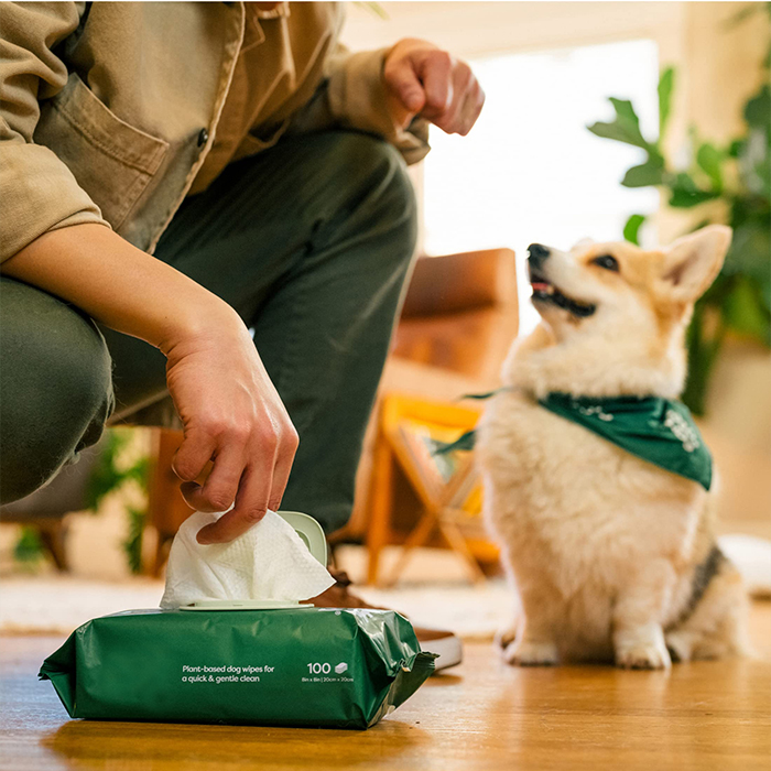 Wholesales Disposable Pet Hygienic Wipes Protection Paper Towels Eco-friendly Wash-free Pet Cleaning Non-woven Wet Wipes