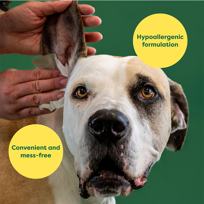 Wholesales Disposable Pet Hygienic Wipes Protection Paper Towels Eco-friendly Wash-free Pet Cleaning Non-woven Wet Wipes