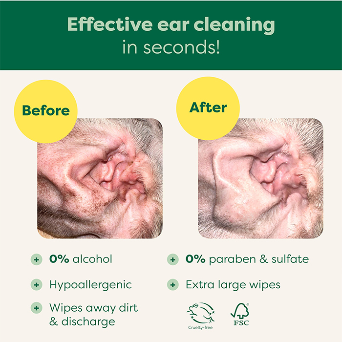 Wholesales Disposable Pet Hygienic Wipes Protection Paper Towels Eco-friendly Wash-free Pet Cleaning Non-woven Wet Wipes