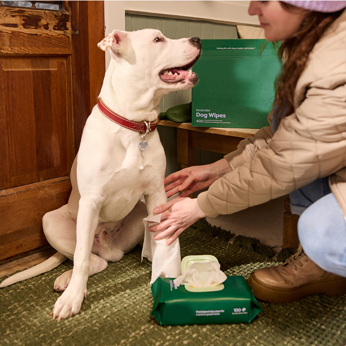 Disposable Eco-friendly Grooming Spunlace Non-woven Fabric Dog Wipes Organic Pet Wet Wipes