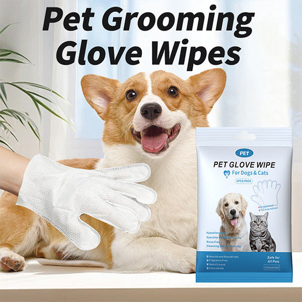  6 PCS Unscented Extra Thick EDI Water Pet Bathing Wipes For Dogs And Cats